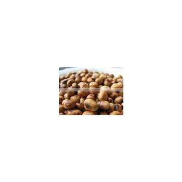 Soya Beans