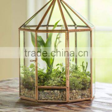 HanD-made Cutting Big-sized Glass Geometric Terrarium/Air Plant Glass Terrarium For Sale