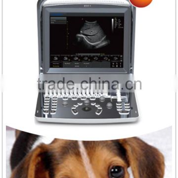 High end Veterinary Ultrasound Scanner ECO1 VET for Canine Bovine Ovine Equine Feline