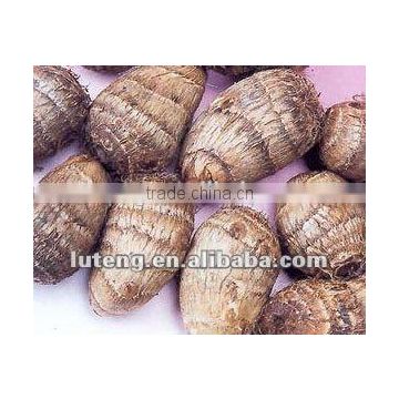 Fresh Taro In Carton Packing