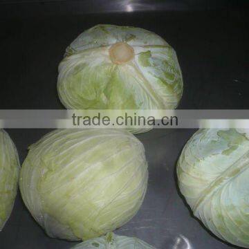 2011 Hotsale Chinese Fresh Cabbages