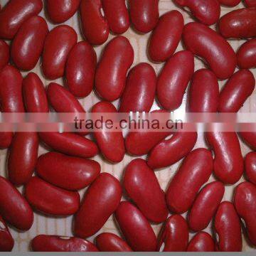 CHINESE DARK RED KIDNEY BEANS (BRITICH)200-220PCS/100G HOT!! photo-2
