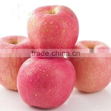 New Arrival Fresh Fuji Apple With Best Price Brand Yitian Sweet Fuji Apple photo-5