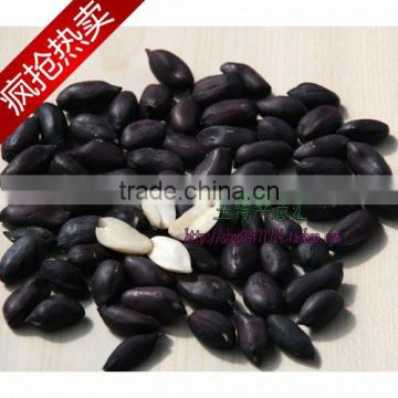 White/Red/Pink/Black Peanut Seeds For Sale