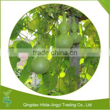 2016 Hot Selling Dried Kanpyo Dry Kanpyo photo-2