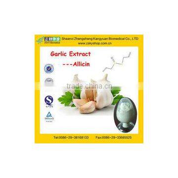 Natural Deodorized Garlic Powder Extract From Assessment Supplier