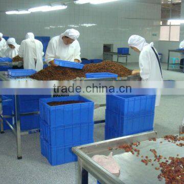 Dried Golden Raisin, AAA Grade photo-4