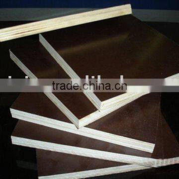 12mm 18mm 20mm Construction Plywood Concrete Plywood