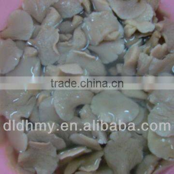 King Oyster Mushroom in 1kg plastic bag