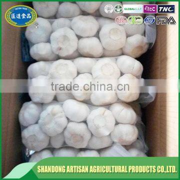 Super Quality Fresh Garlic photo-3