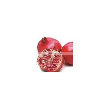 Pomegranate Extract Powder