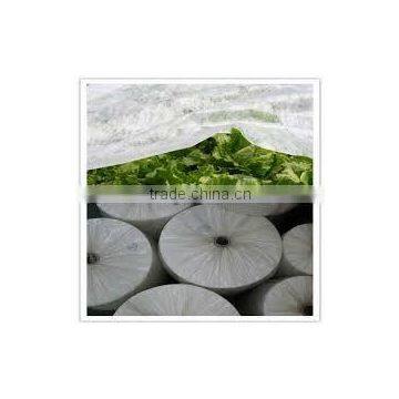 nonwoven fabric for horticulture 55gsm