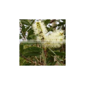 India's No. 1 Neroli Essential Oil photo-4