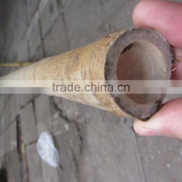 0.6 to 7 m of Length Bamboo pole