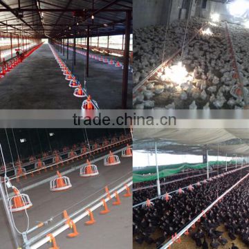 Poultry Farm/Poultry House/Livestock/Chicken House