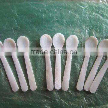 High quality spoon, spoon safe for food, spoon made from natural seashell