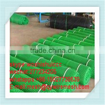 Plastic Flat Mesh/plastic flat wire mesh/flat plastic mesh