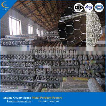 Hexagonal Wire Netting High Quality photo-5