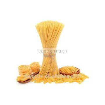 Jinan Dayi Single-screw Pasta Extruder Equipment Process Line photo-3