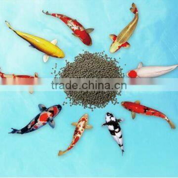 Fish Food Process Line photo-6