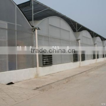 Multi Functional Vegetable Greenhouse Covered By Plastic Polythene Film