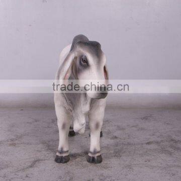 Definitive Brahman Looking Left photo-2