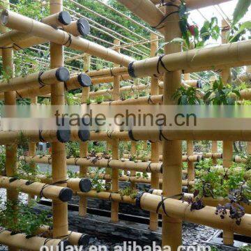 Agriculture Bamboo Canes