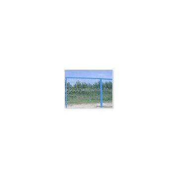 Wire Mesh Fences