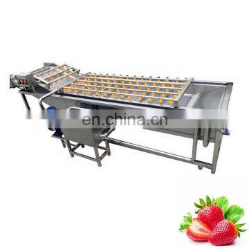 China Factory Supply Commercial Fruit Vegetable Cleaning Washing Machine Apple Fruit Washer photo-4