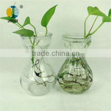 transparent glass tissue culture vessels bottle with green plant