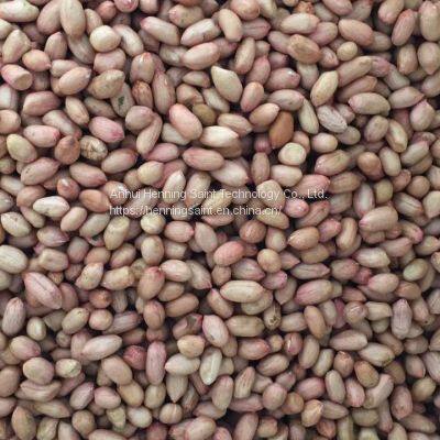 Henning Saint Peanut Color Sorter photo-4