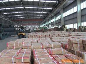 Stainless Steel Electrode