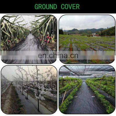 Factory Wholesale Selling Best Quality Anti Insect Mesh Net for Greenhouse Apple Tree Vegetables