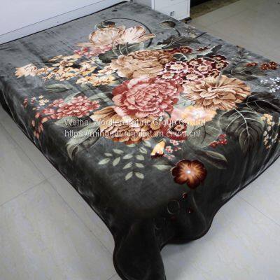 Raschel mink Polyester Blanket /Korean cloudy blanket