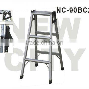 Aluminum ladder