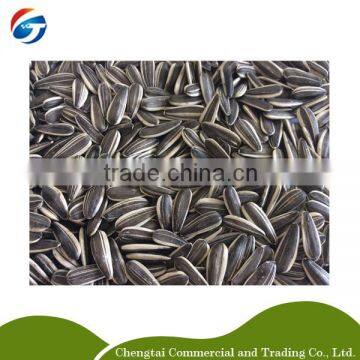 sunflower seed 5009 best quality sunflower seeds sunflower seed 5009