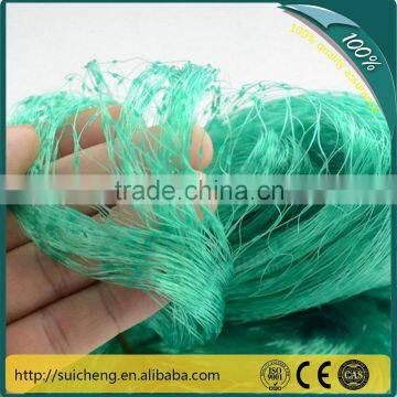 Guangzhou Agricultural Anti-bird Net/ PE Plants Protection Net/ Plastic Net