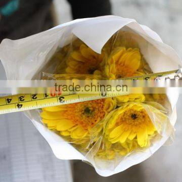 Pure and Mild Flavor Hot Selling Home Decorative Fresh Gerbera photo-2