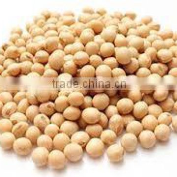 Organic fresh soy beans