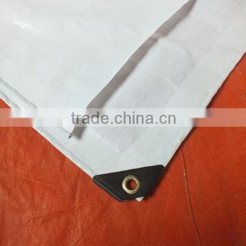 Waterproof plastic tarpaulin drop cloth