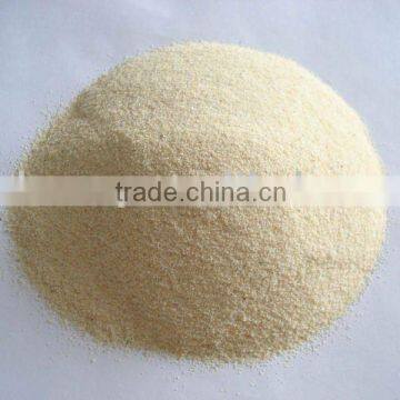 garlic granule