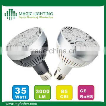 Magic Lighting Hot Selling PAR30 35W for steam room panel Led microwave sensor ceiling Light