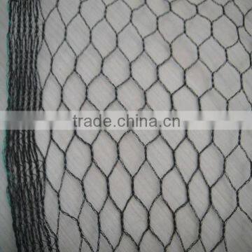 New HDPE Monofilament Anti Bird Net China Supplier