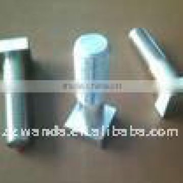 ANSI Standard Stainless Steel Square Head Bolts in Hot Sale