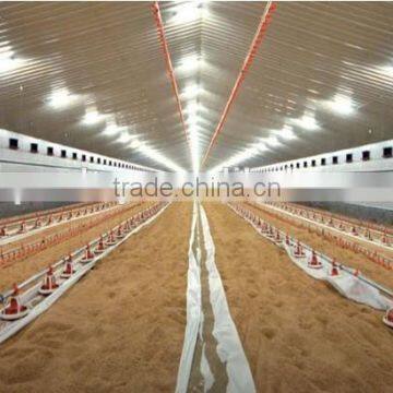 chicken layer poultry house designs for chicken farm building