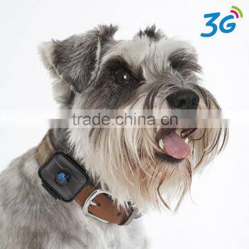 Support 3G Network 3G GPS Tracker For Pet Tracking