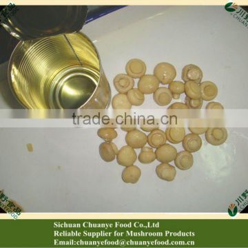 Canned Mushroom China