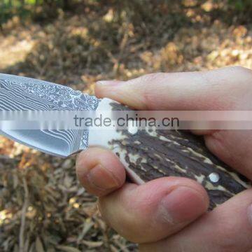 OEM Damascus steel fixed knife with antler handle