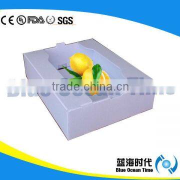 polypropylene corrugated plastic fruit box for lemon