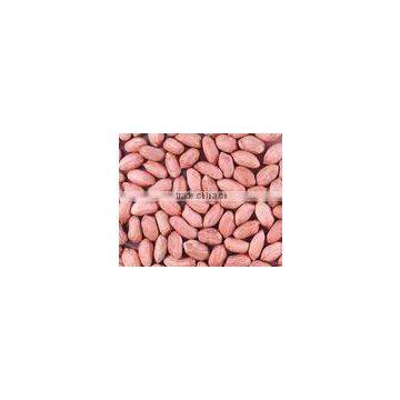 chinese long type raw peanuts kernels